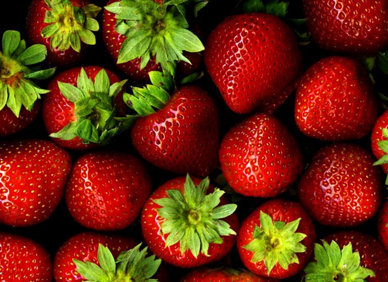 La fraise - 5 recettes de saison
