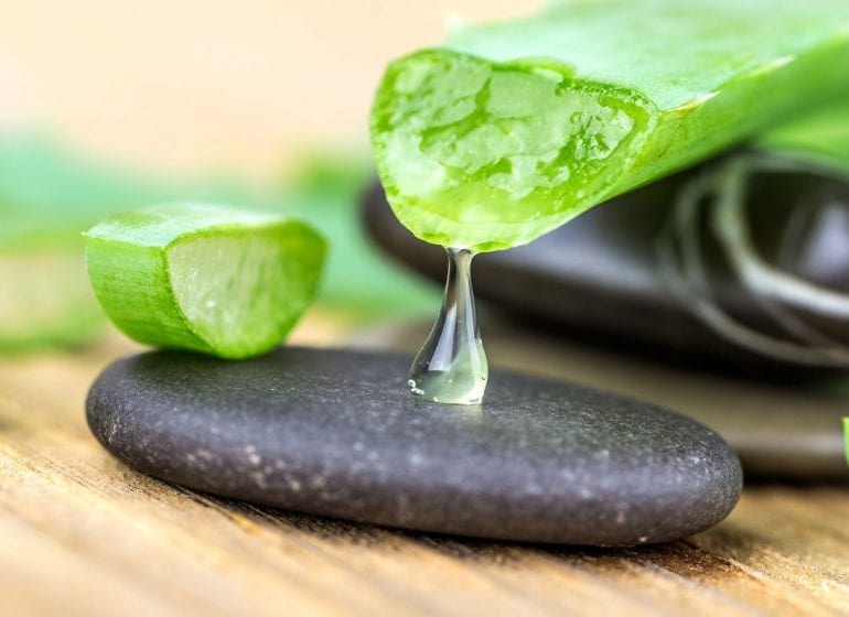 Tous les bienfaits de l’aloe vera