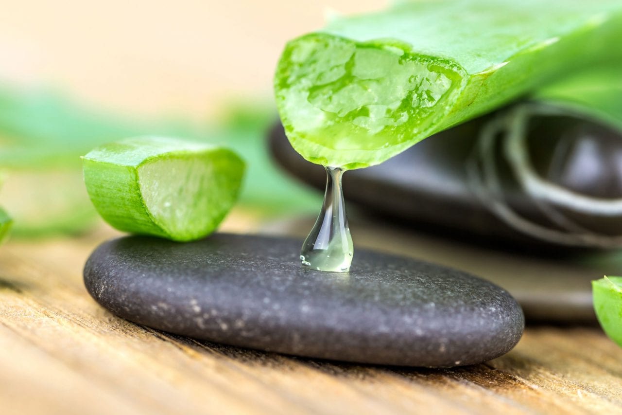 L'aloe vera : votre meilleur allié pour cet été ! - So Healthy