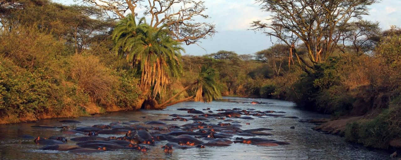 Le Togo est le plus petit État d’Afrique de l’Ouest francophone.