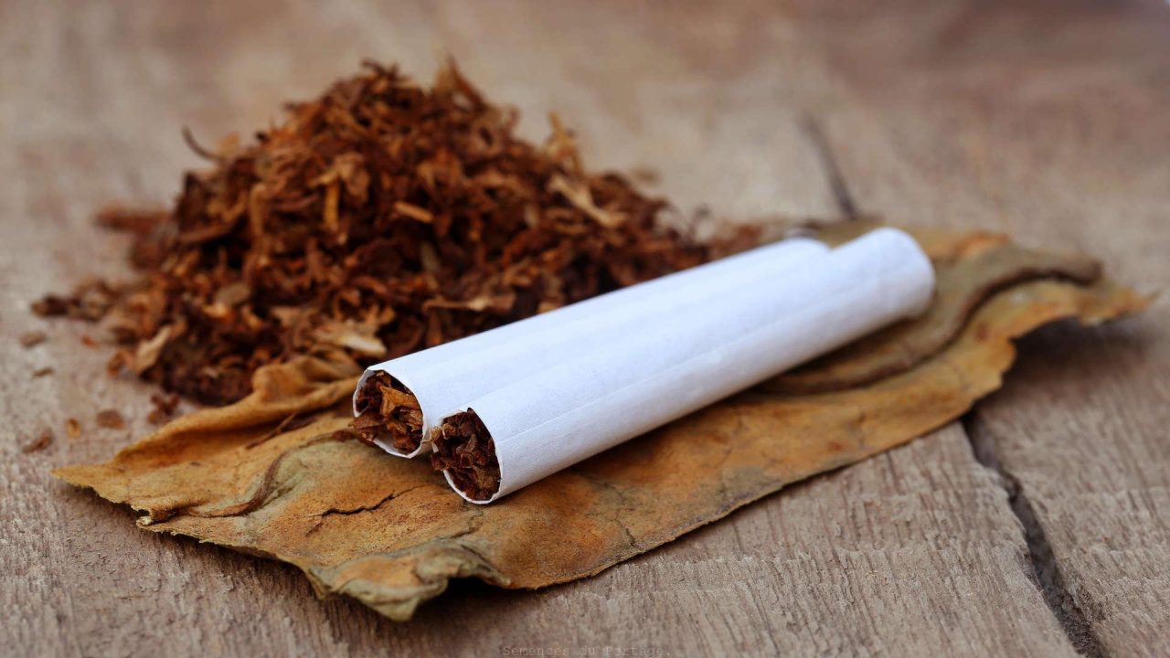 Concernant le tabac au taux de 0,04mg, la nicotine serait « quasiment indétectable » et sa consommation ne provoquerait pas d’addiction. 