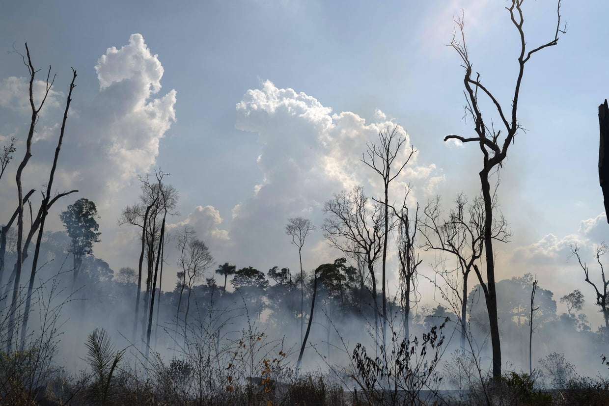 On estime le nombre de départs de feu en Amazonie à plus de 75.000, soit 84% de plus que l’an dernier. 