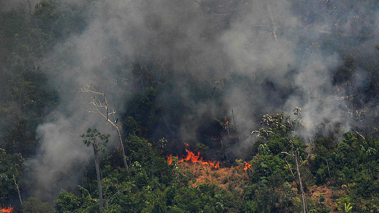 Depuis plusieurs semaines, de nombreux incendies ravagent l’Amazonie en continu et ne cessent d’empirer.