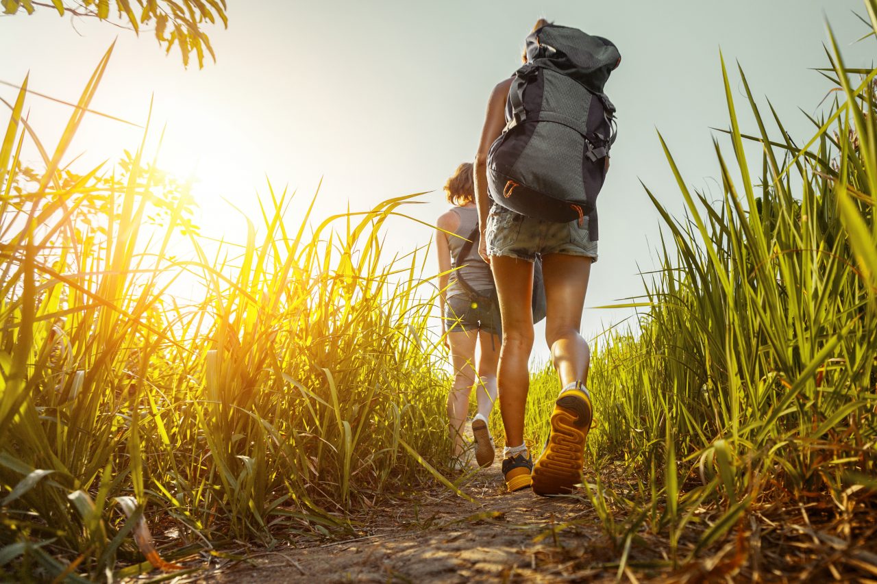 Inutile de parcourir des milliers de kilomètres pour passer d’agréables vacances et vous dépayser. 