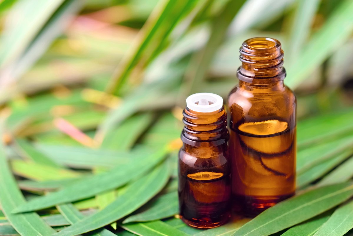 Les bienfaits de l’huile essentielle d’eucalyptus - So Healthy