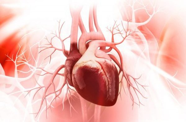 Depistage cardio vasculaire