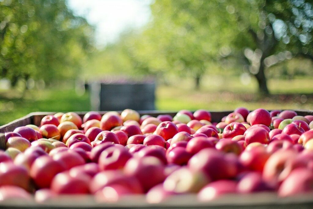 aliments sucrés à consommer