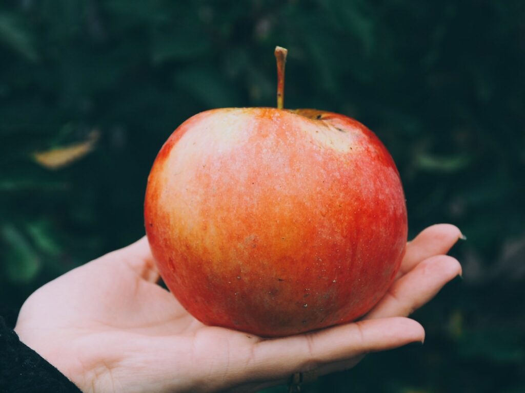 detox avec des pommes